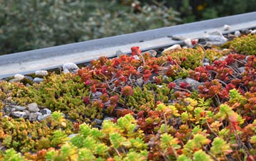 the cost of Ballochan green roof installation