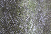 Ballochan fibreglass roof work